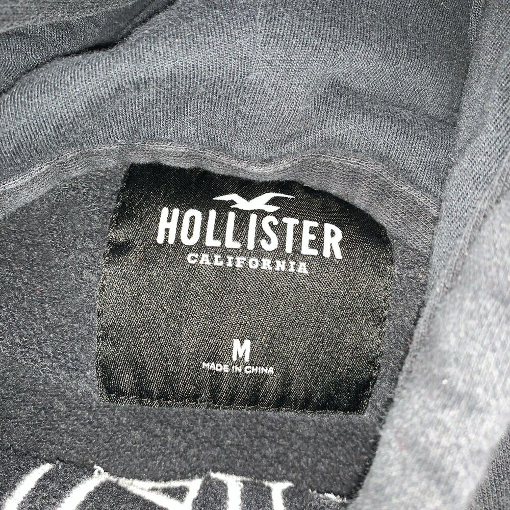 Hollister Hoodie Mens Small Black Tiger Graphic Logo Pullover Sweatshirt - Picture 6 of 7